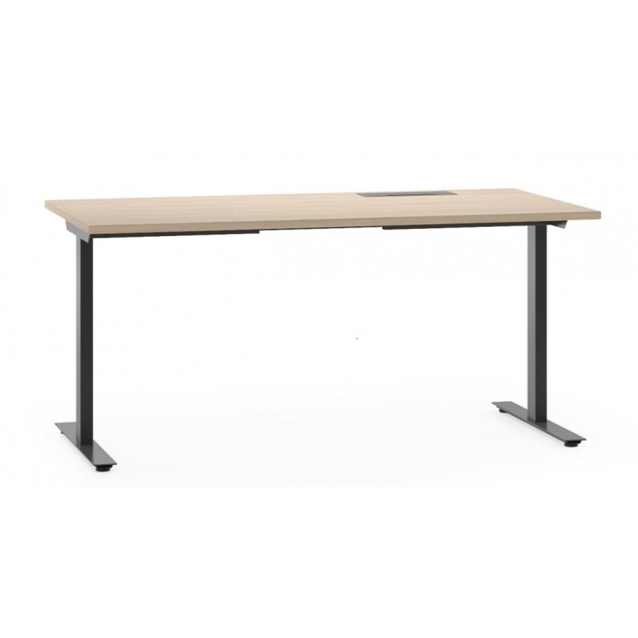 T-EASY DESK